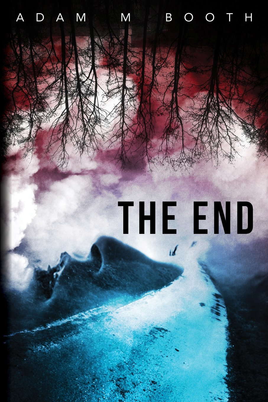 The End poster