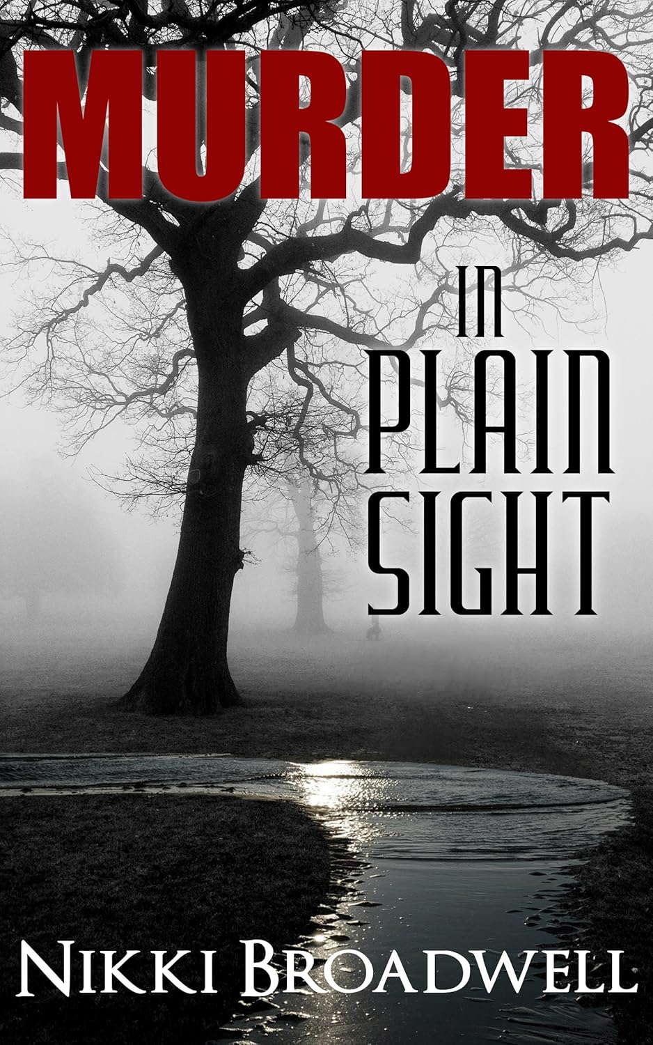 Murder in Plain Sight: a Summer McCloud paranormal mystery poster