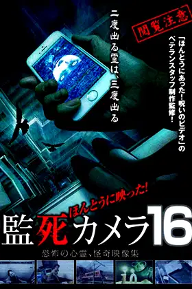 Paranormal Surveillance Camera 16 poster