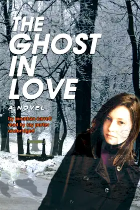 The Ghost in Love poster