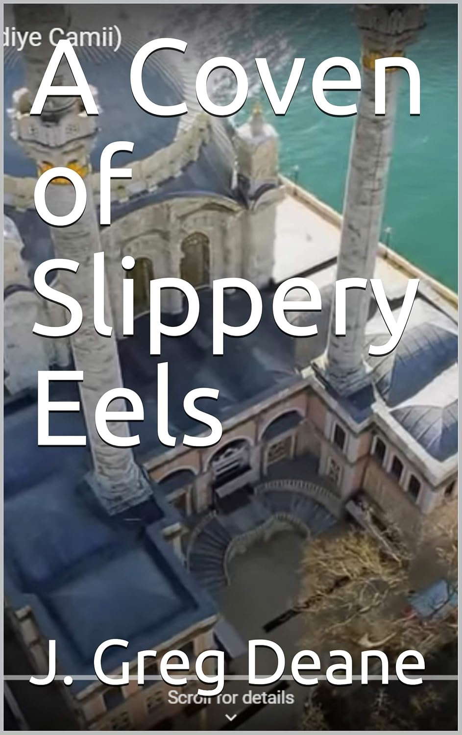 A Coven of Slippery Eels poster
