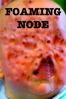The Foaming Node poster
