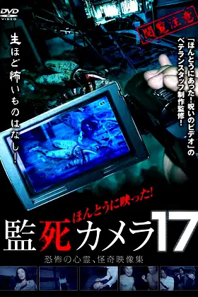 Paranormal Surveillance Camera 17 poster