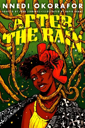 After the Rain: A Graphic Novel poster