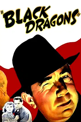 Black Dragons poster