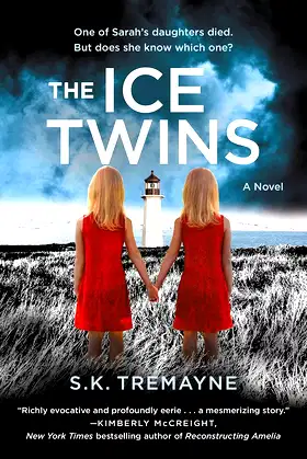 The Ice Twins: A Novel poster