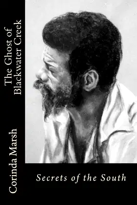 The Ghost of Blackwater Creek: Secrets of the South Vol II poster