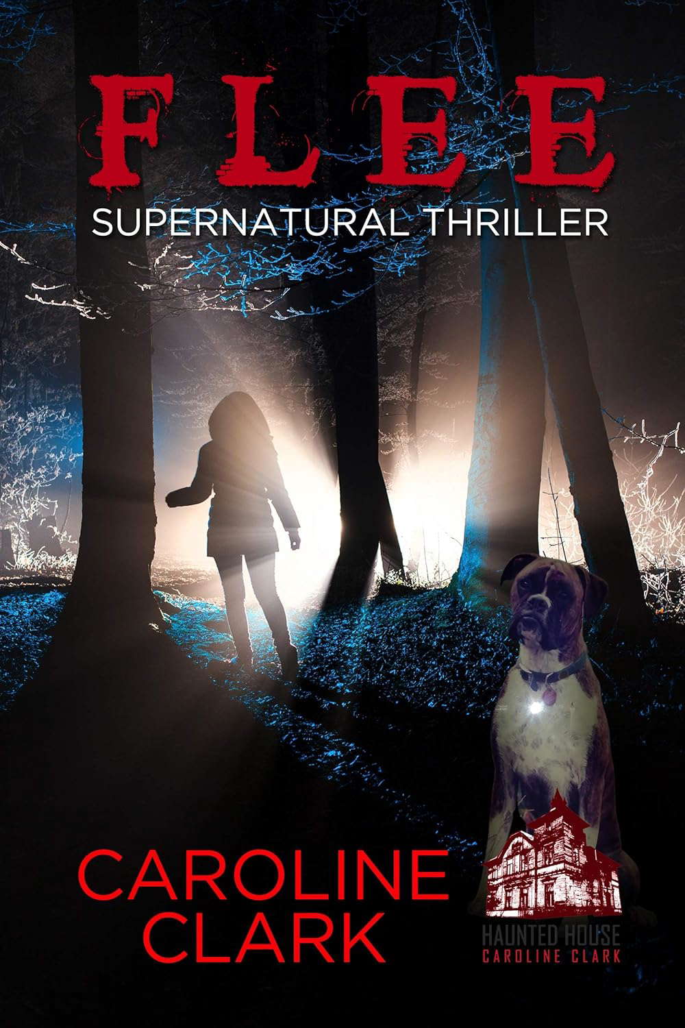 Flee: Supernatural Thriller poster