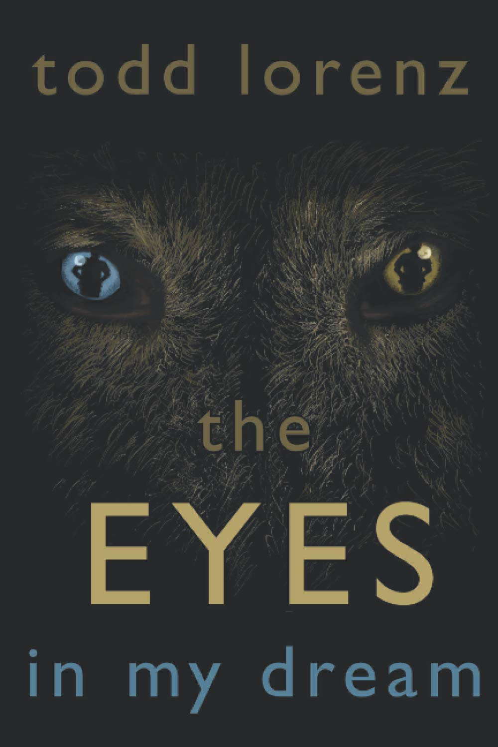 The Eyes In My Dream poster
