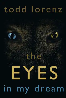The Eyes In My Dream poster
