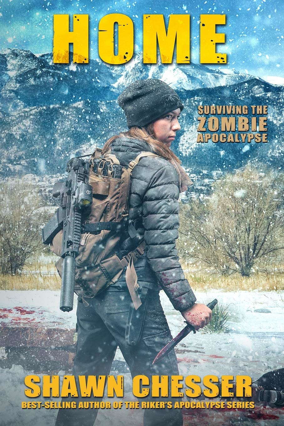 Home (Surviving the Zombie Apocalypse) poster
