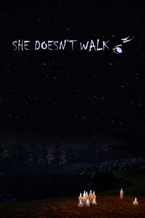 She Doesn't Walk poster