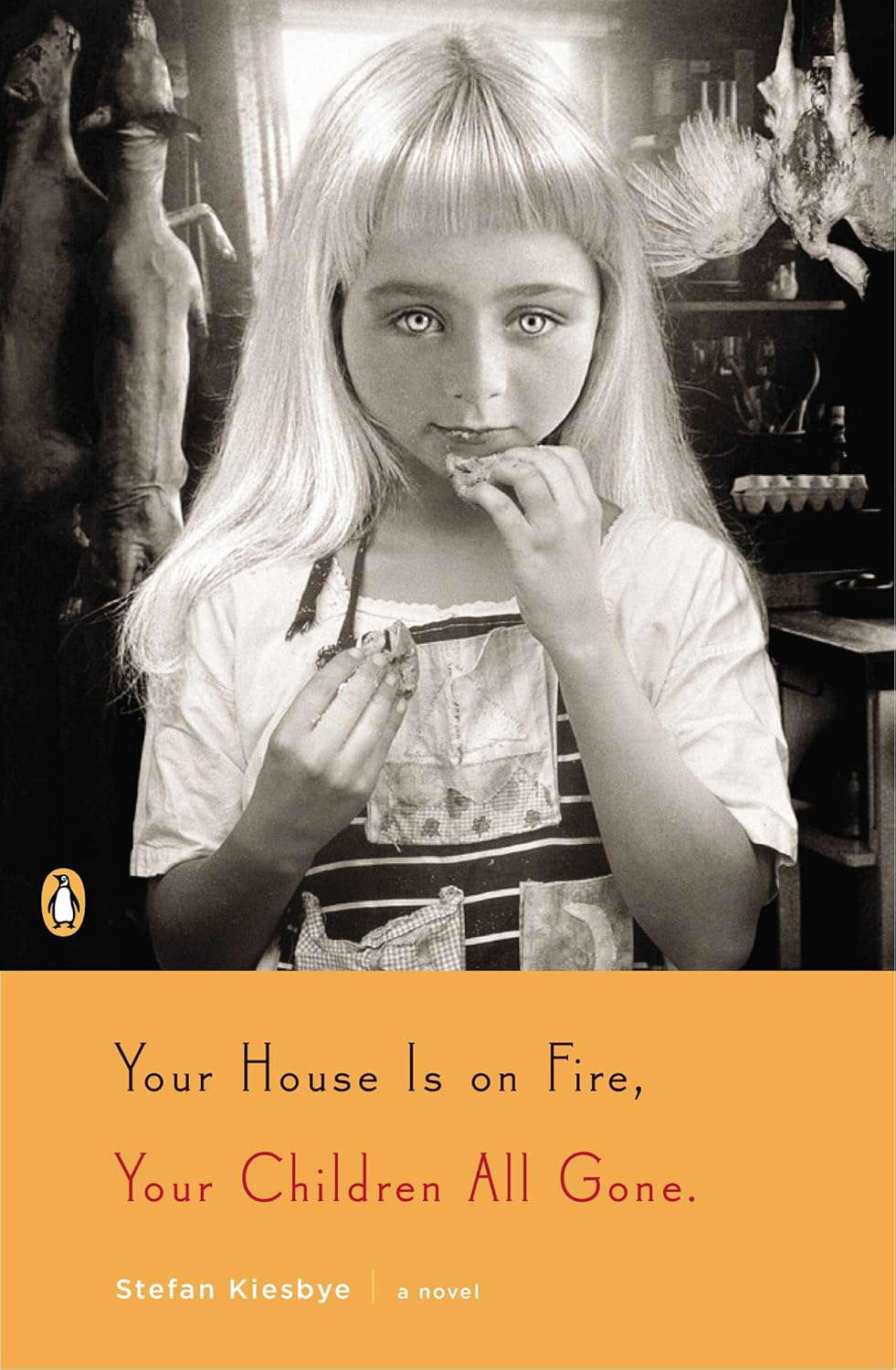 Your House Is on Fire, Your Children All Gone: A Novel poster