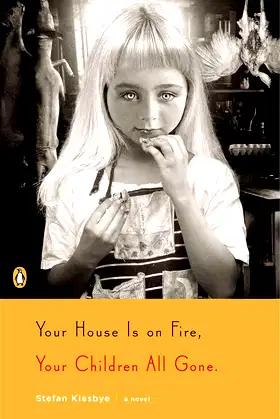 Your House Is on Fire, Your Children All Gone: A Novel poster