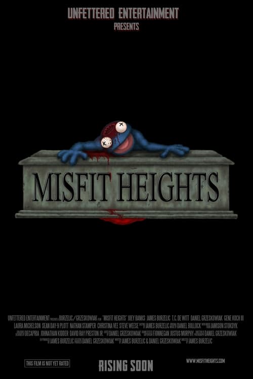 Misfit Heights poster