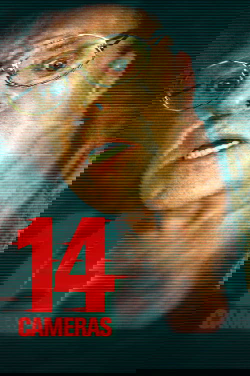 14 Cameras poster