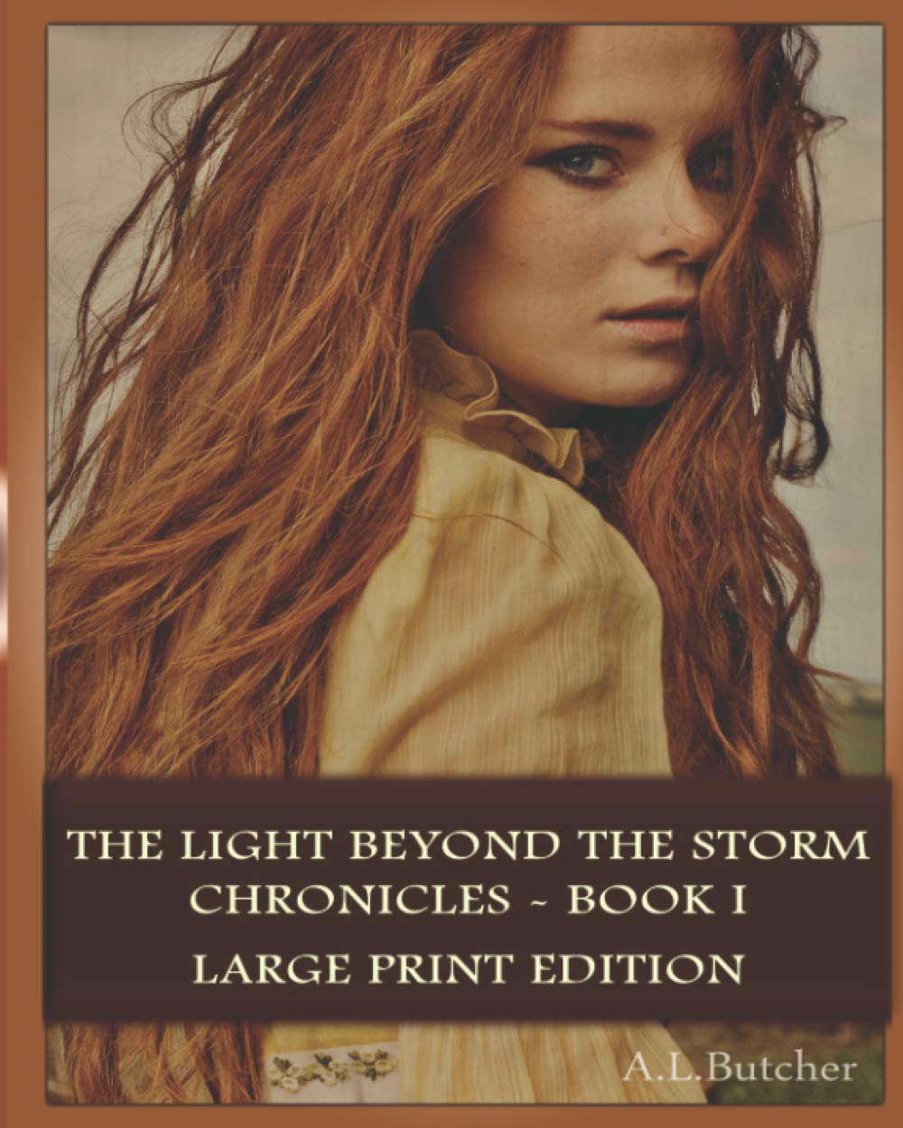 The Light Beyond the Storm Chronicles - Book I: Large Print Edition poster