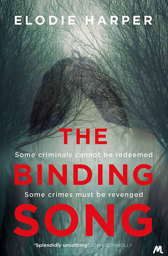 The Binding Song: A chilling thriller with a killer ending poster