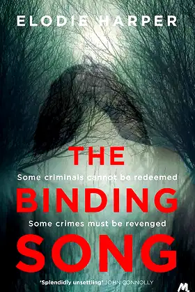 The Binding Song: A chilling thriller with a killer ending poster