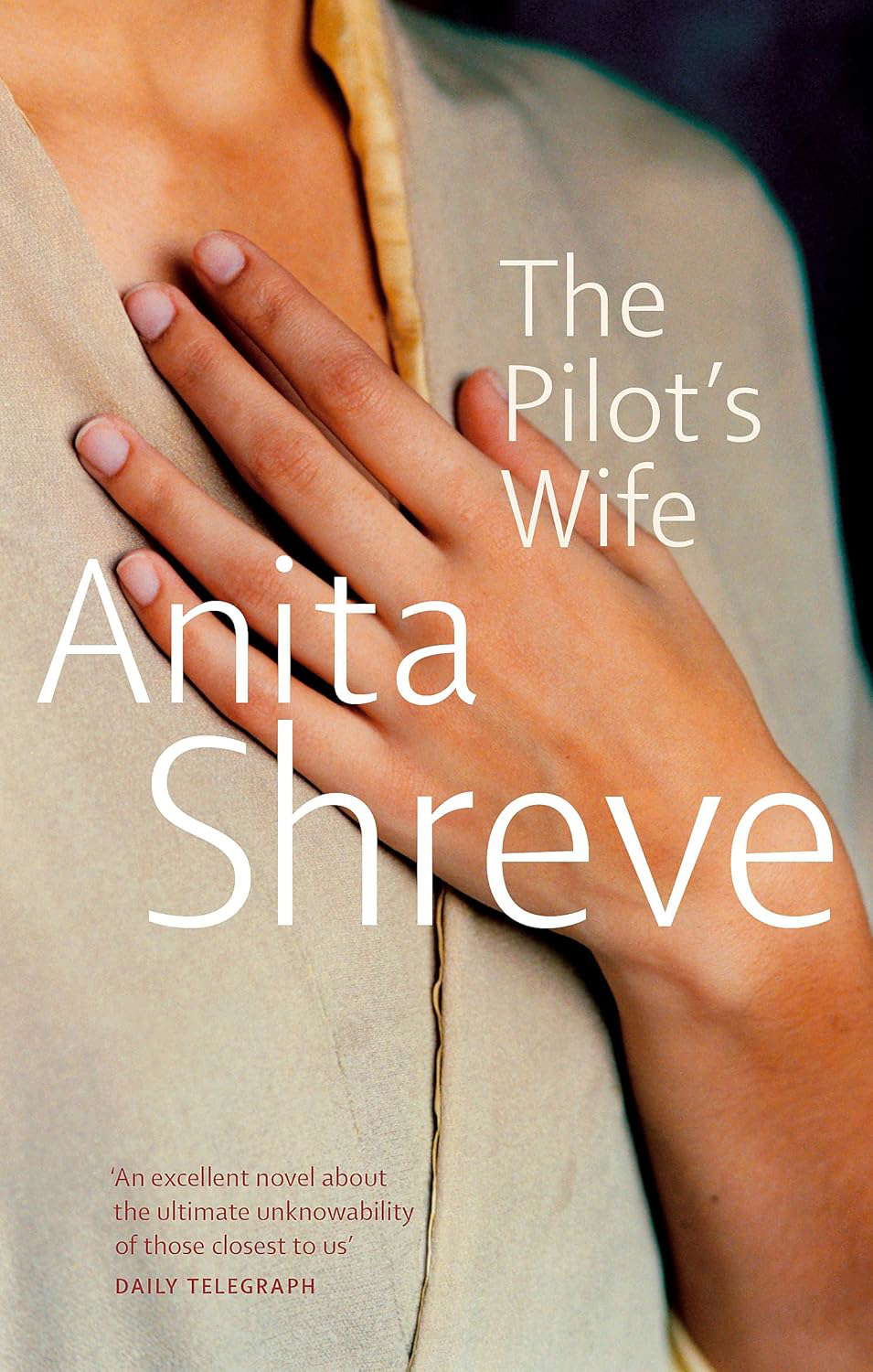 The Pilot's Wife poster