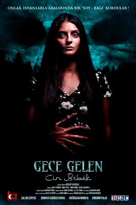 Gece Gelen: Cin Bebek poster