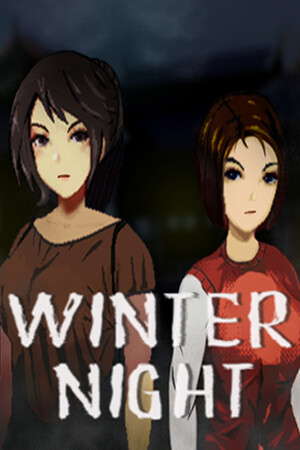 Winter Night poster