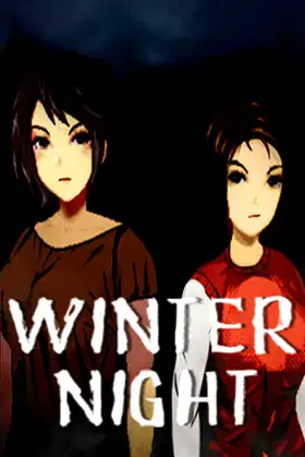 Winter Night poster