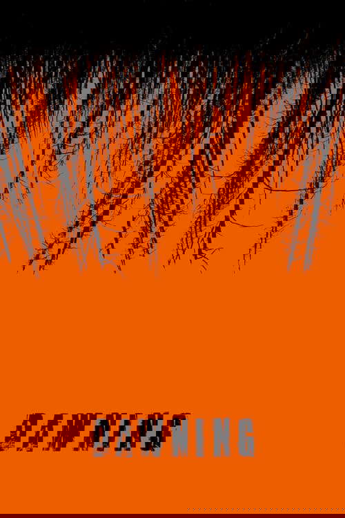 Dawning poster