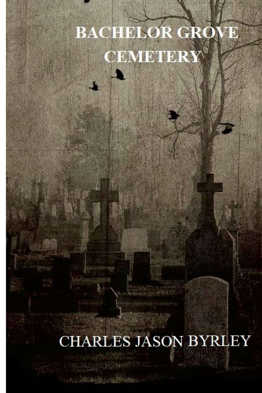 BACHELOR GROVE CEMETERY poster