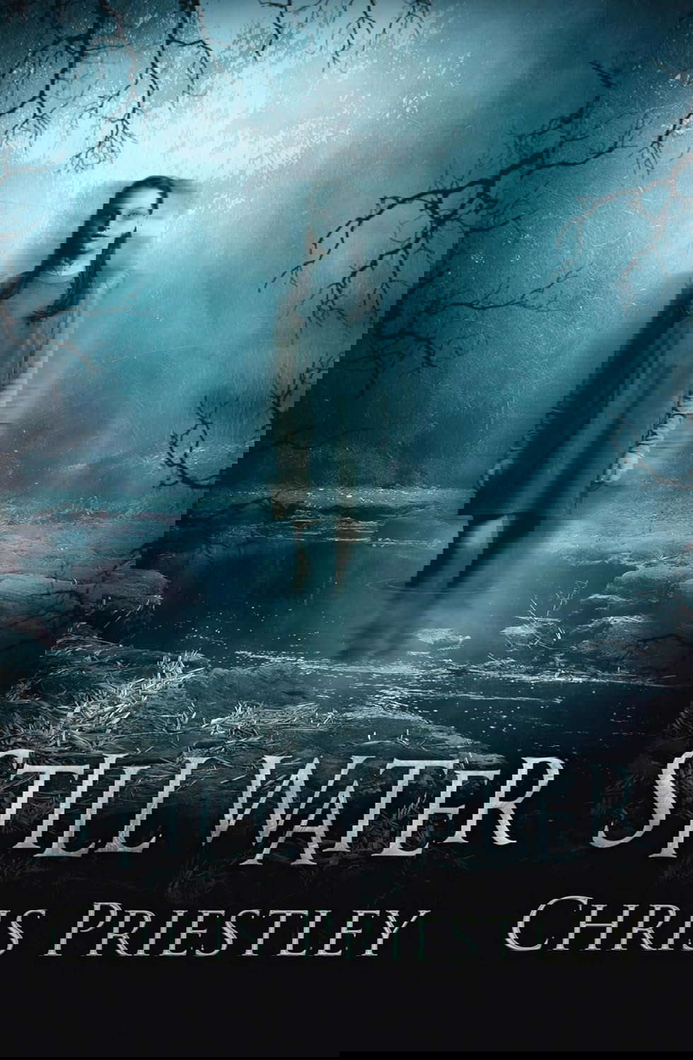 Still Water poster