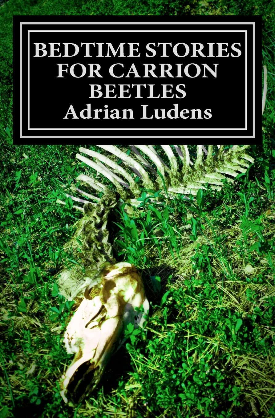 Bedtime Stories for Carrion Beetles poster