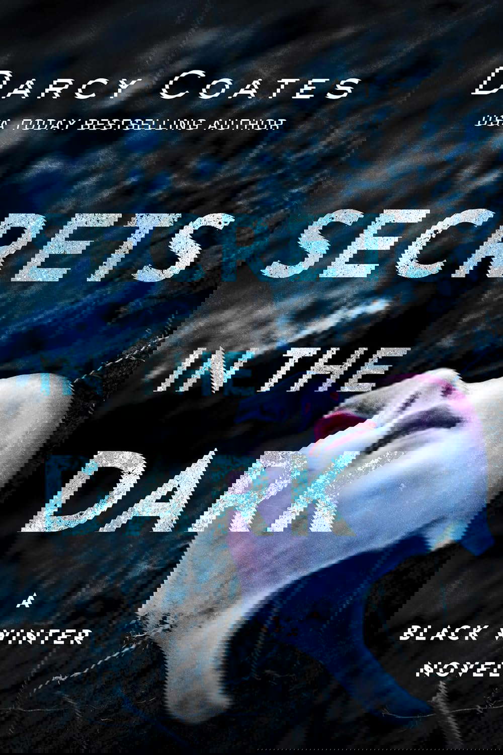 Secrets in the Dark (Black Winter, 2) poster