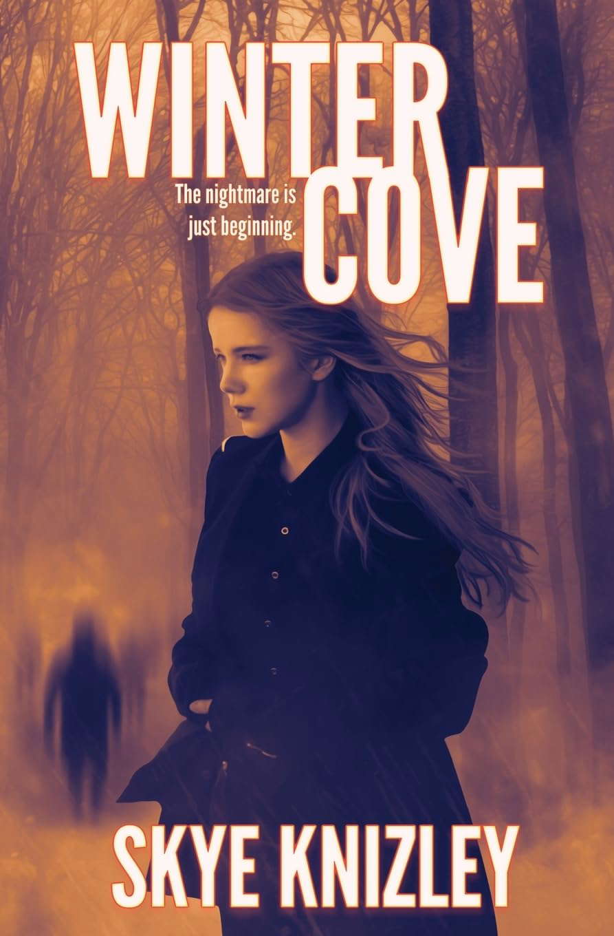 Winter Cove poster