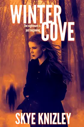 Winter Cove poster