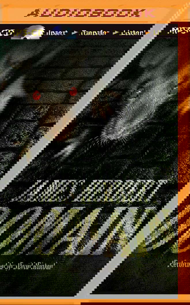 Domain (The Rats, 3) poster