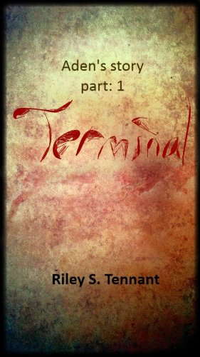 Terminal (Aden's story: part 1) poster