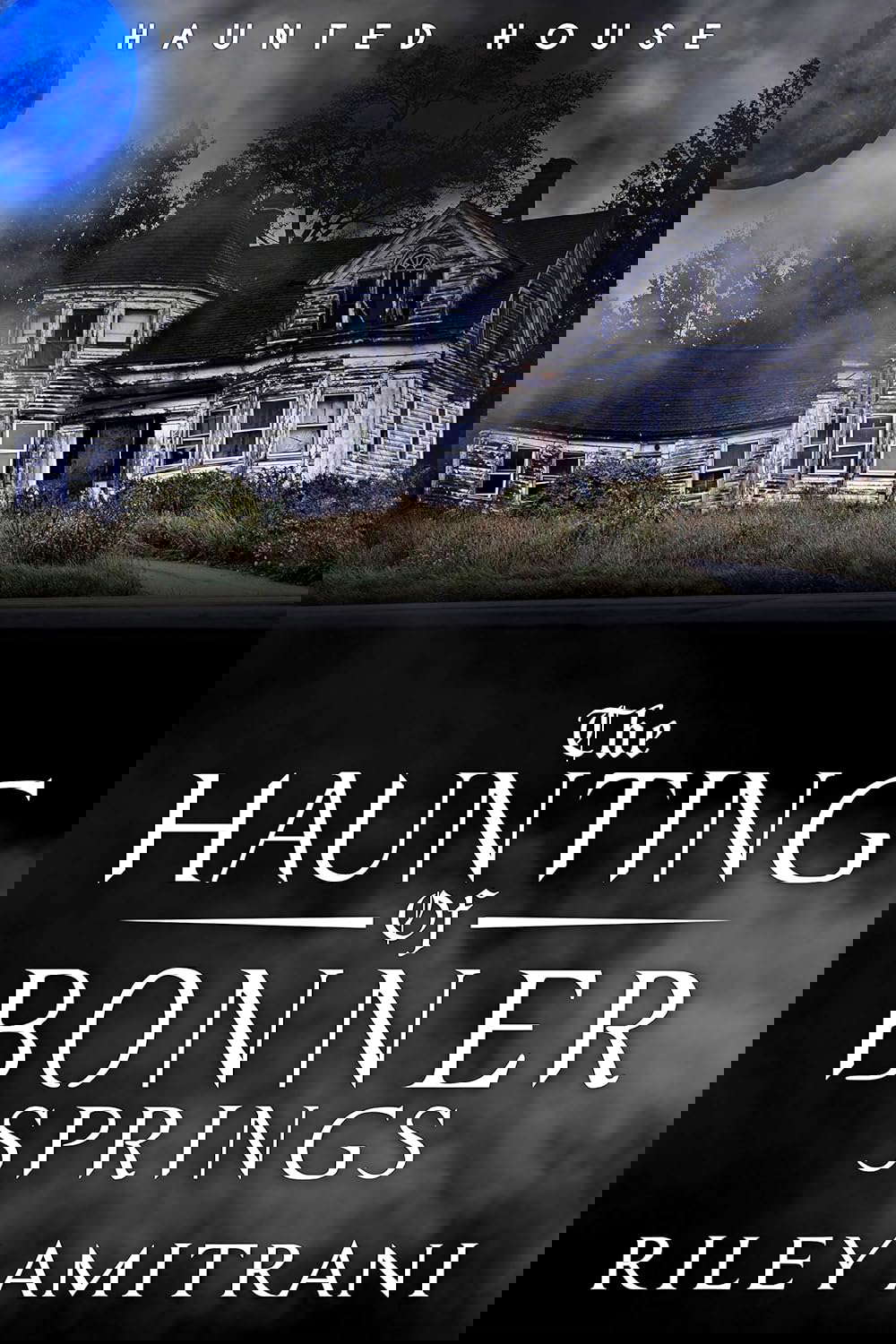 The Haunting of Bonner Springs poster