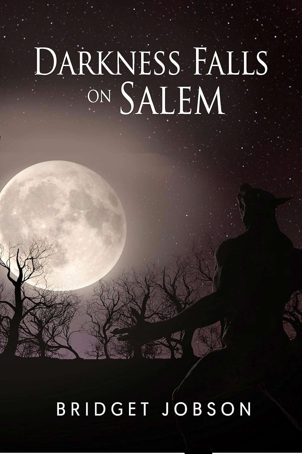 Darkness Falls On Salem poster