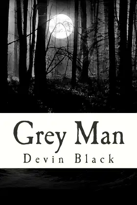 Grey Man poster