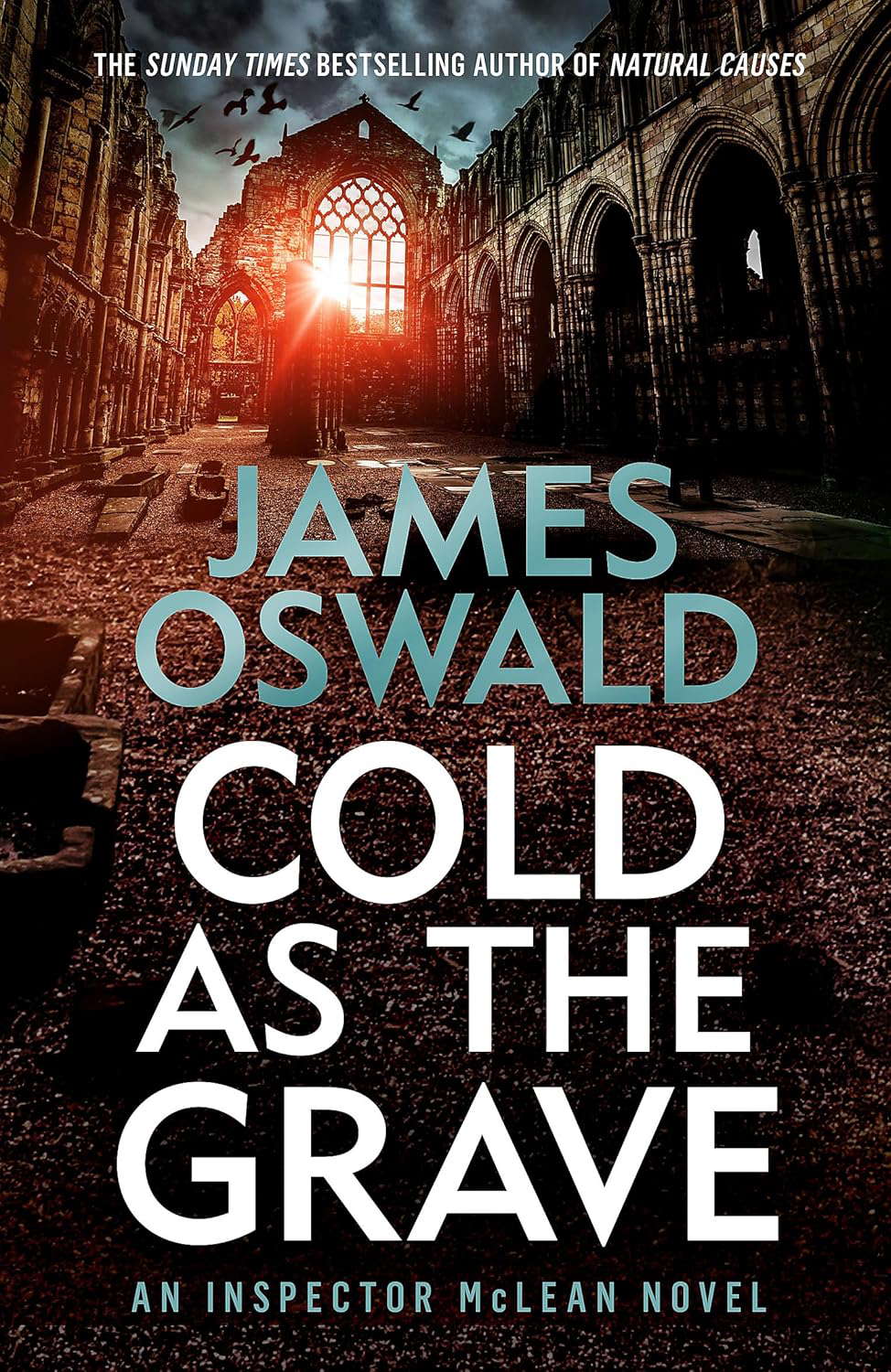 Cold as the Grave: Inspector McLean 9 poster