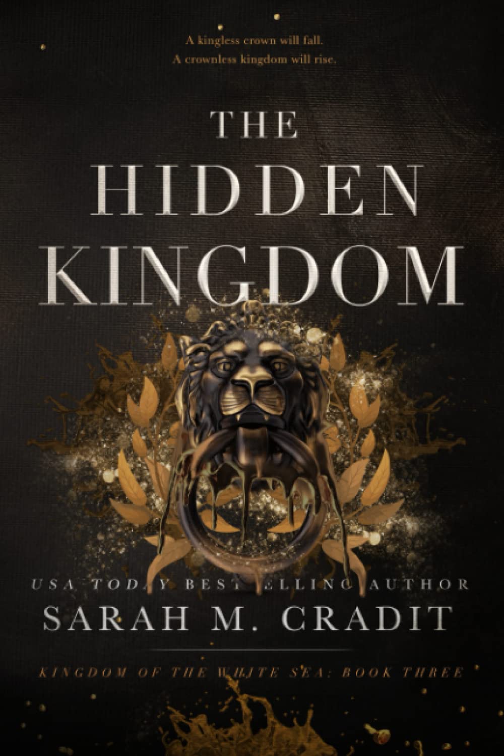 The Hidden Kingdom: Kingdom of the White Sea Book 3 poster