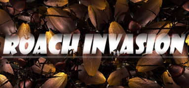 ROACH INVASION capsule