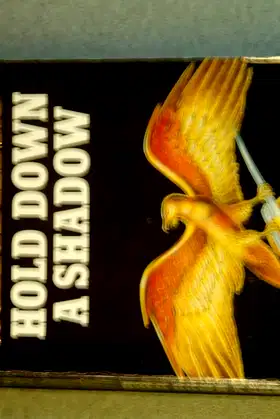 Hold Down a Shadow poster
