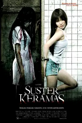 Evil Nurse poster