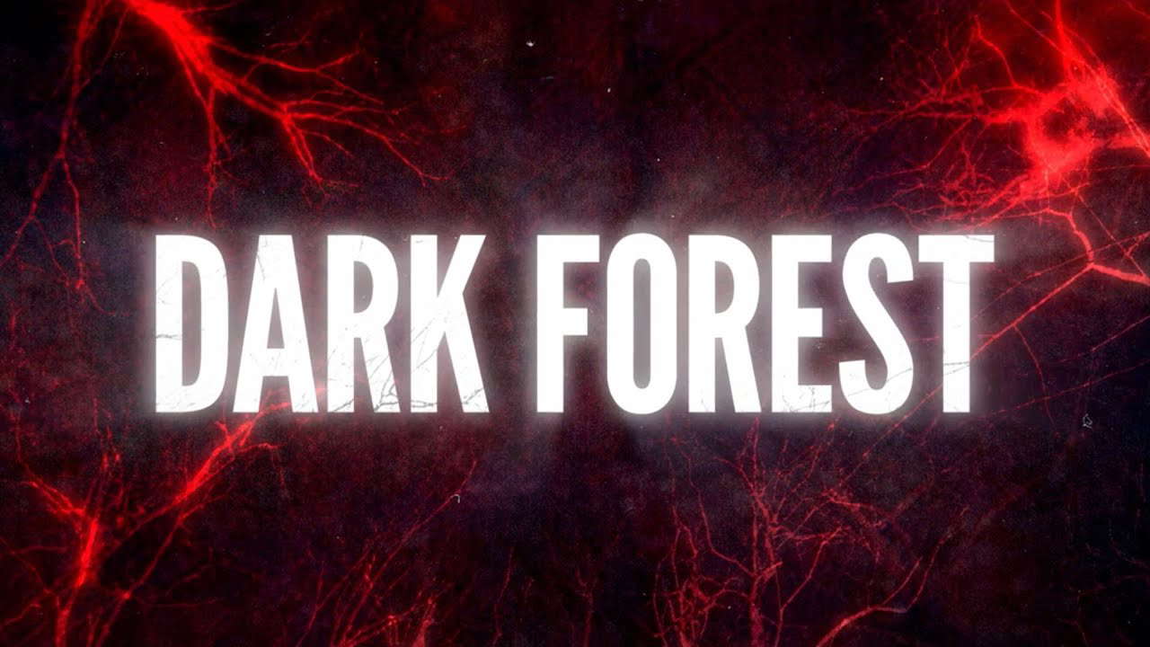 Poster for Dark Forest