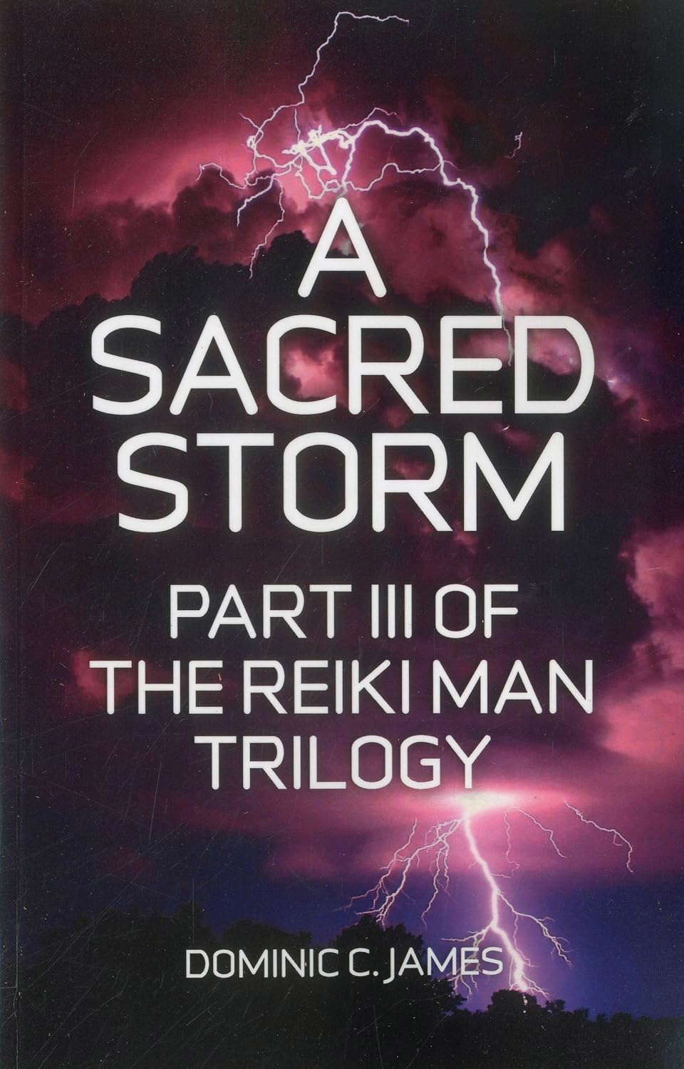 A Sacred Storm (Volume 3) (The Reiki Man Trilogy, 3) poster