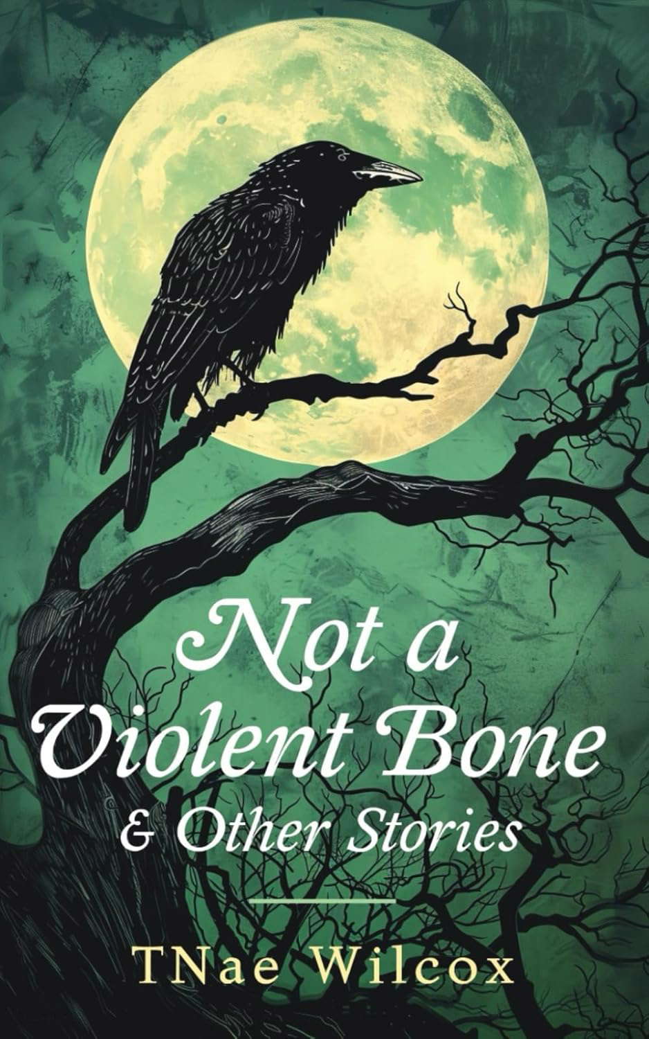 Not a Violent Bone and Other Stories poster