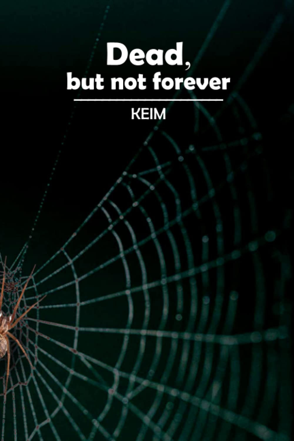 Dead, but not forever poster