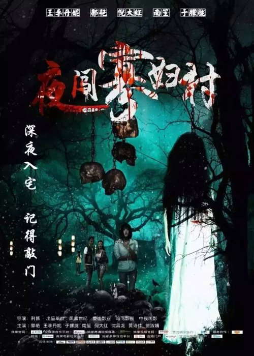 Visit the Widow Village in the Night poster