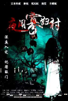Visit the Widow Village in the Night poster